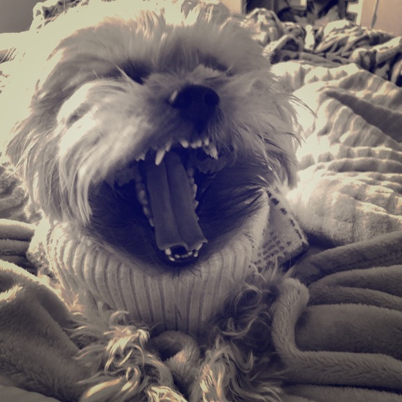 **CLOSET CLOSING 2/22 SALE** Make an Offer! 🤘🏻 - Picture 1 of 1